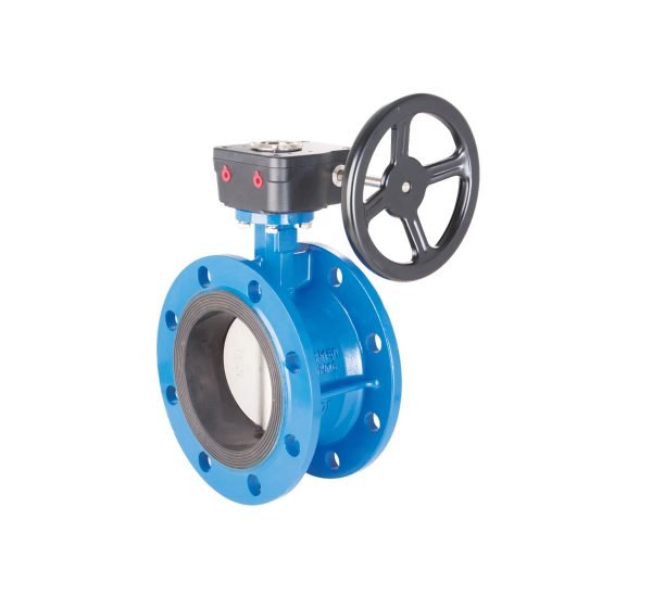 Flanged-Flanged-Butterfly-Valve-EMD-SERIES